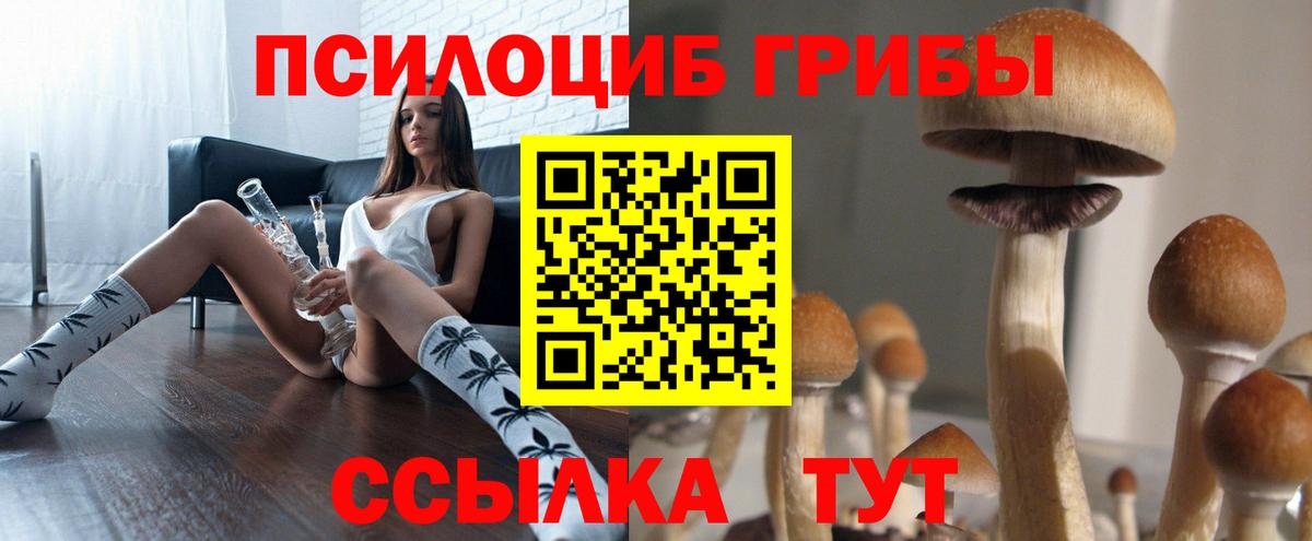 Кольчугино  Псилоцибиновые грибы GOLDEN TEACHER  купить наркотик  Вход с VPN 
